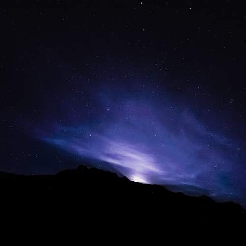 Photo #9875007