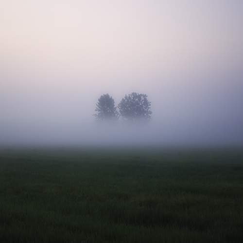 Photo #9875131