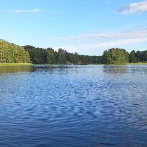 Photo #9875450