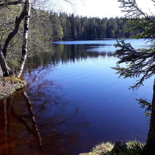 Photo #9875516