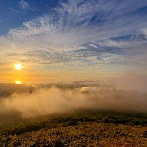 Photo #9875607