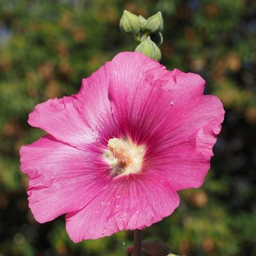 Photo #9875706