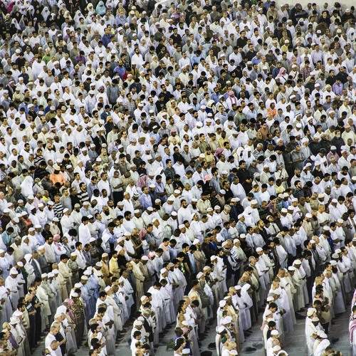 Photo #9876159