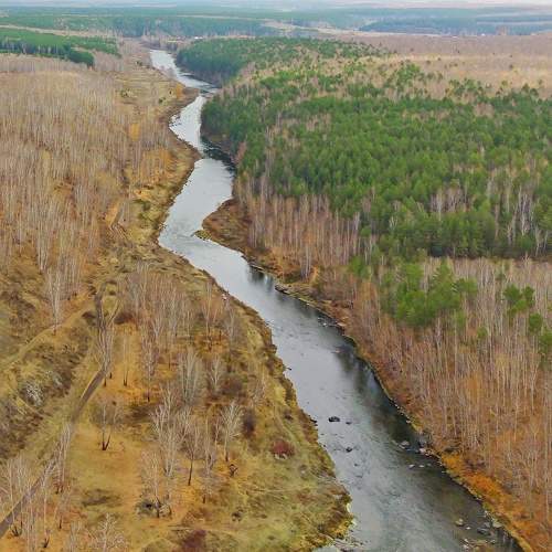 Photo #9876504