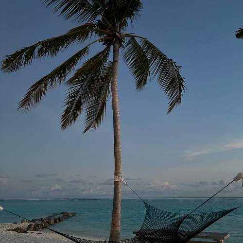 Photo #9876569
