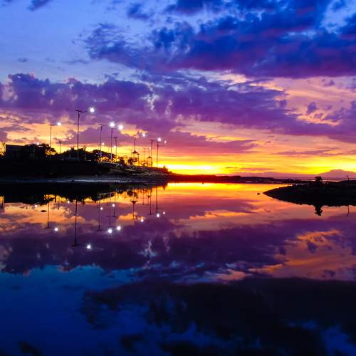 Photo #9876586