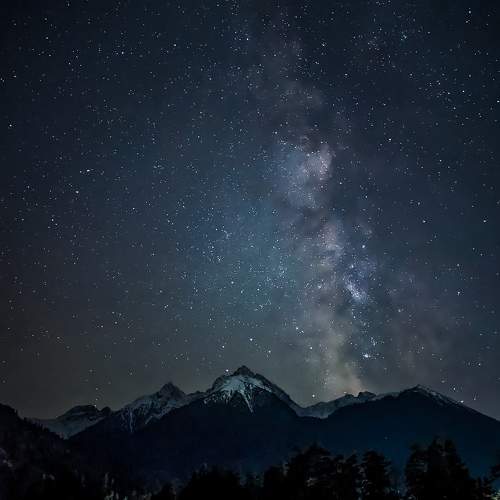 Photo #9876621