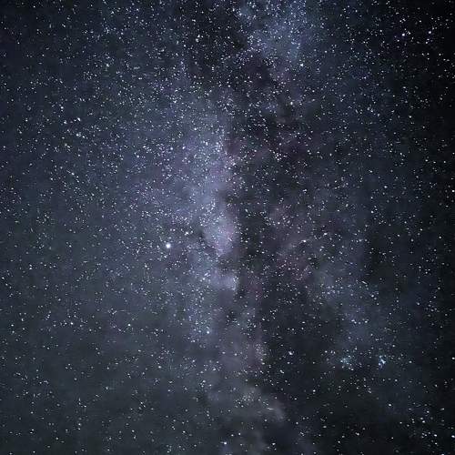 Photo #9876622