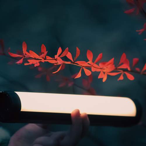 Photo #9876943