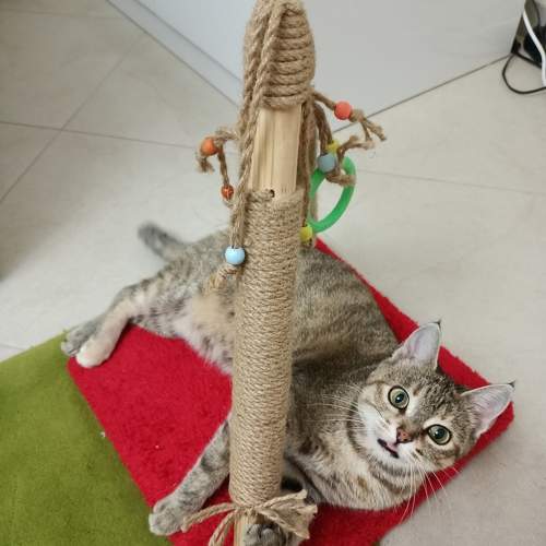 Photo #9877061