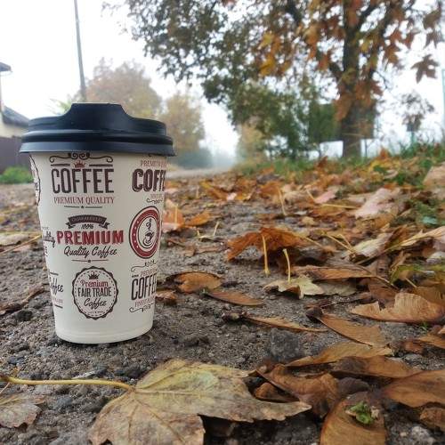 Photo #9877165
