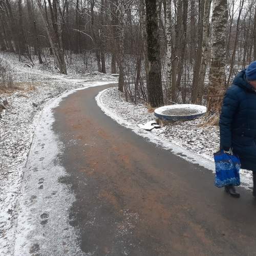 Photo #9877252