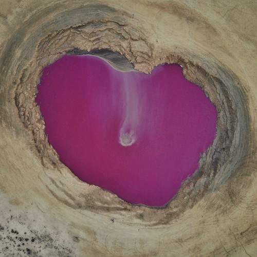 Photo #9877451