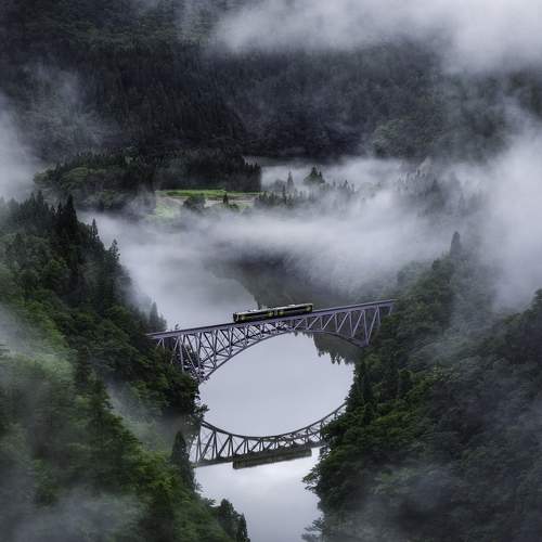 Photo #9877560