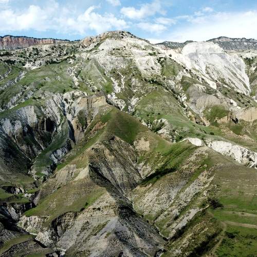Photo #9877608