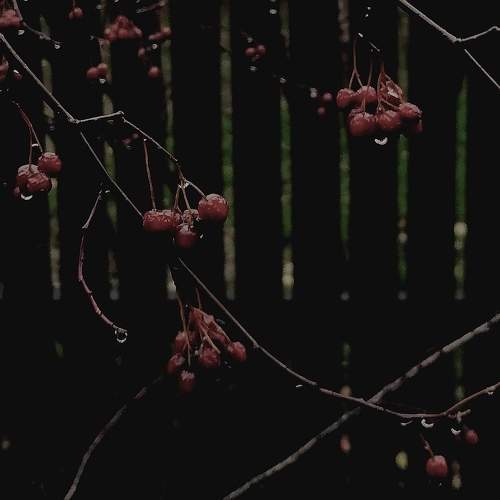 Photo #9877885