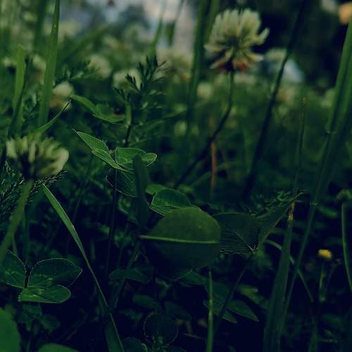 Photo #9877886