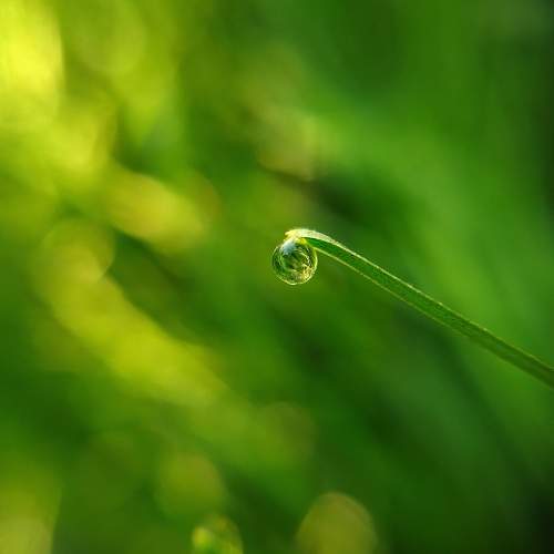 Photo #9877945
