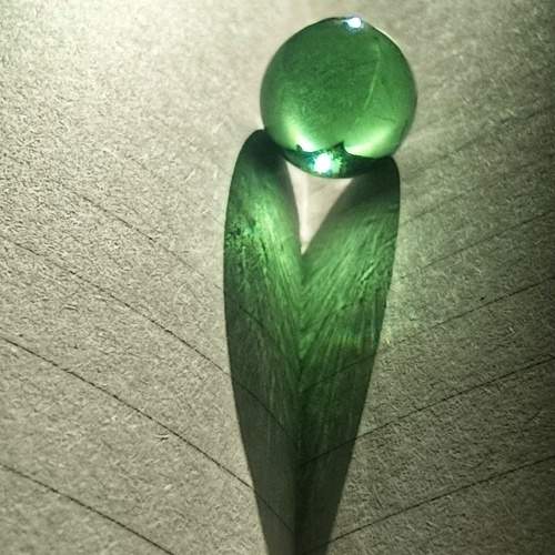 Photo #9877963