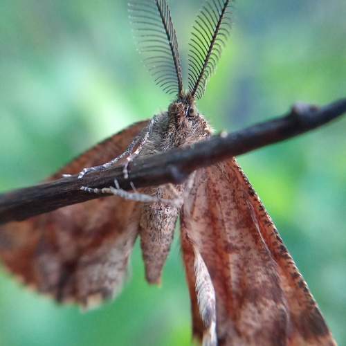 Photo #9878231