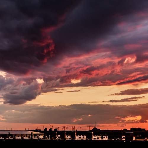 Photo #9878672