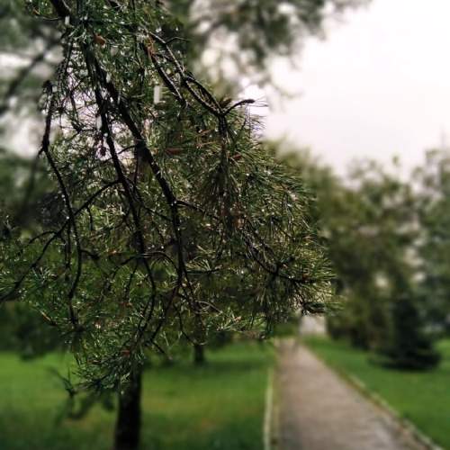 Photo #9878702