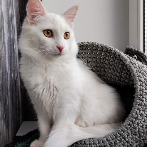 Photo #9878918
