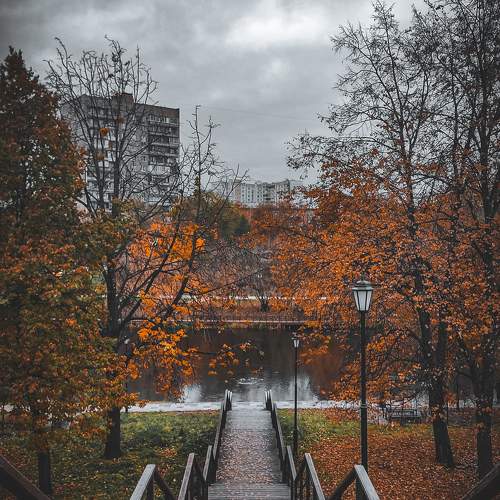 Photo #9879068