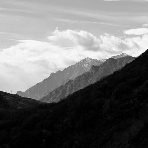 Photo #9879244