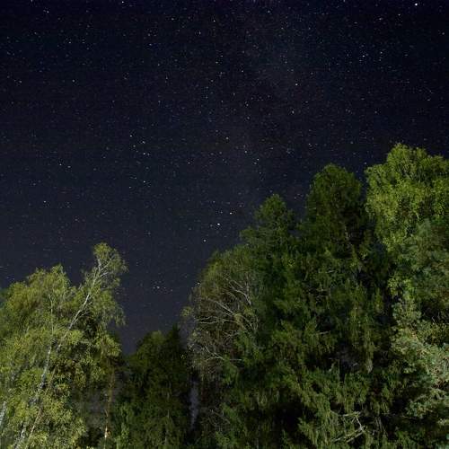 Photo #9879479