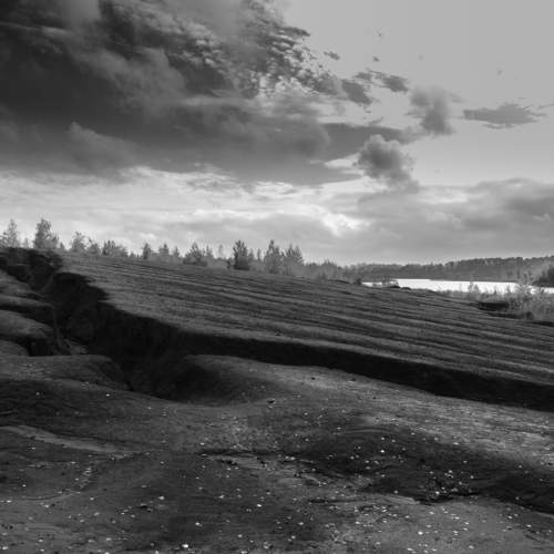 Photo #9879660