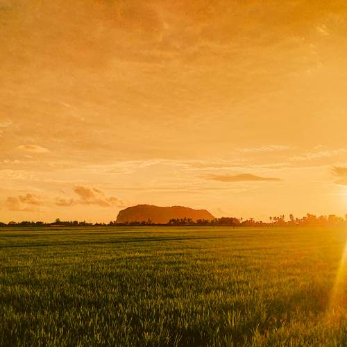 Photo #9879808
