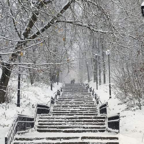 Photo #9879968