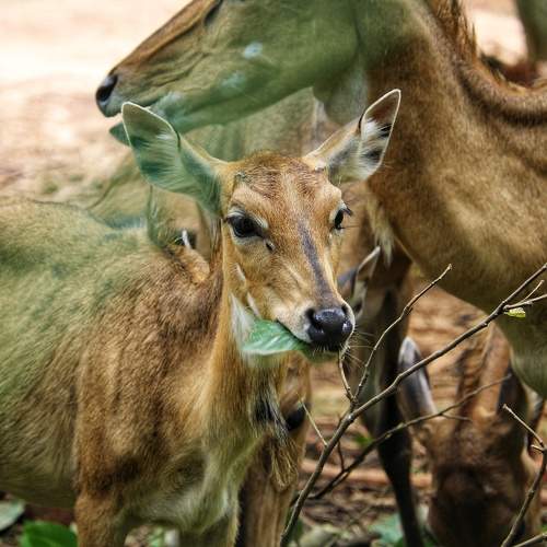Photo #9880048