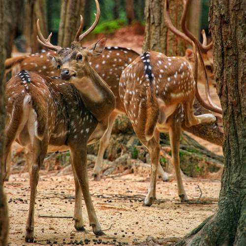 Photo #9880053