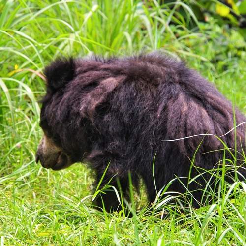 Photo #9880056