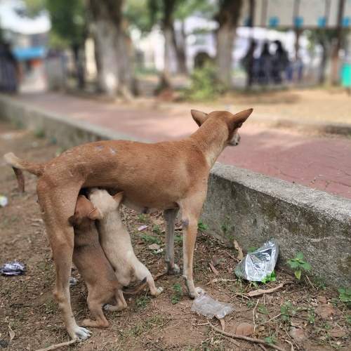 Photo #9880207