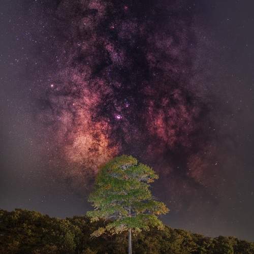 Photo #9880645