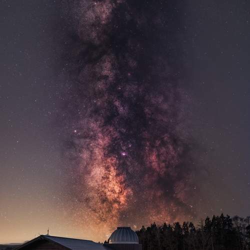 Photo #9880646