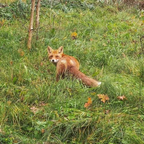 Photo #9880749