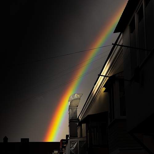 Photo #9880875
