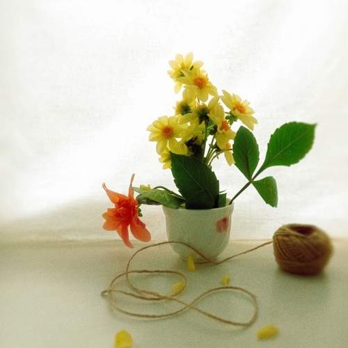 Photo #9880927