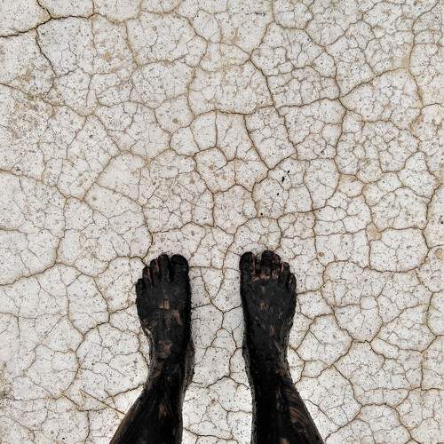 Photo #9881029