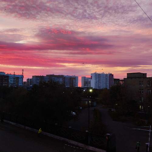 Photo #9881541