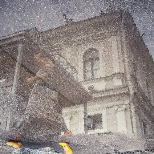 Photo #9881604