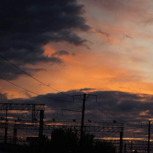 Photo #9881668