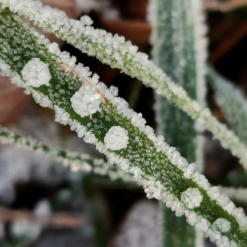 Photo #9881709