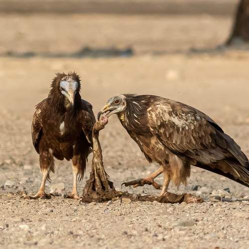 Фотография #9881759