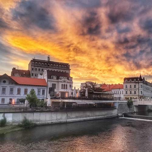 Photo #9882363