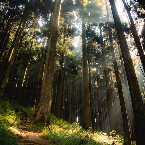 Photo #9882570